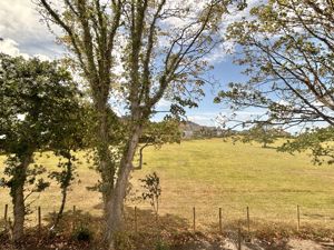 Photo 29- click for photo gallery